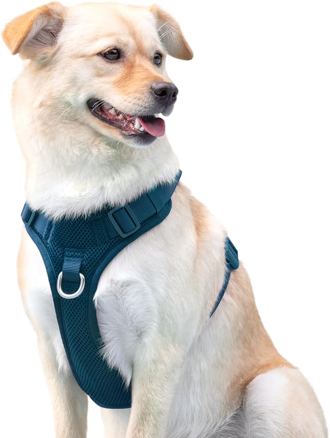 No Pull Dog Harness for Small Medium Large Dogs - Adjustable 2 Layer Mesh Dog Vest with Dual Clip, Escape Proof, Quick Release, Lightweight Breathable Mesh for Walking Hiking (Prussian Blue,XS)