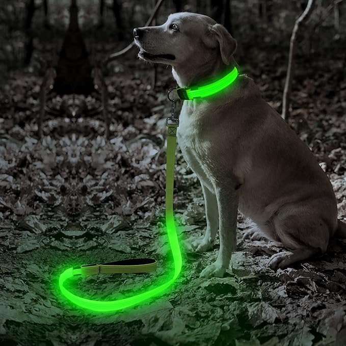 Illumifun LED Dog Leash, 4FT Reflective Light Up Dog Leash, Safety Flashing Dog Lead Light Glow in The Dark (Green Ⅲ)