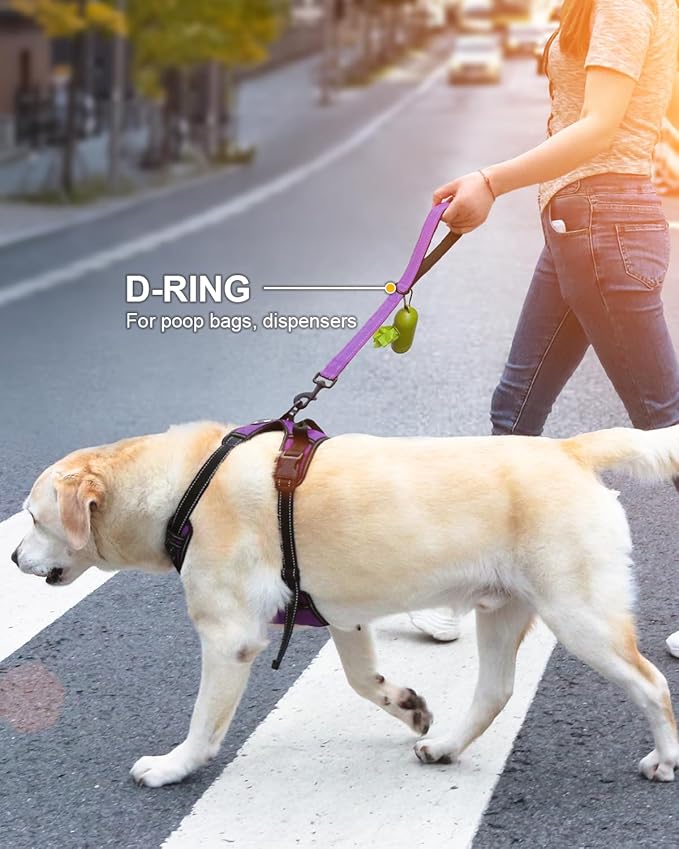 Joytale Strong Short Dog Leash 1FT, 1.2 Inch Wide, Heavy Duty, Padded Handle for Traffic Control, Reflective Leash for Medium and Large Dogs Walking Training, Purple