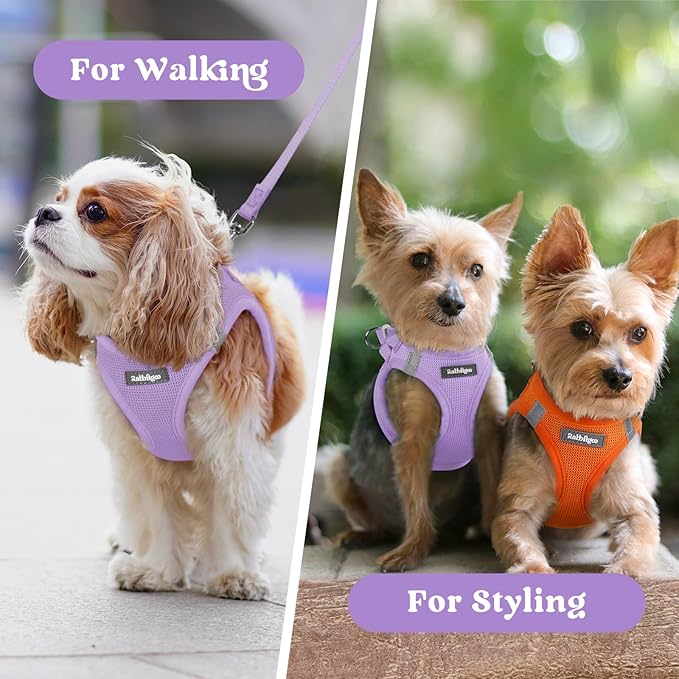 rabbitgoo Small Dog Harness, Step-in Soft Mesh Puppy Vest with Safety Buckle, Breathable Reflective Pet Harness for Extra Small Dogs, Light Purple XXS