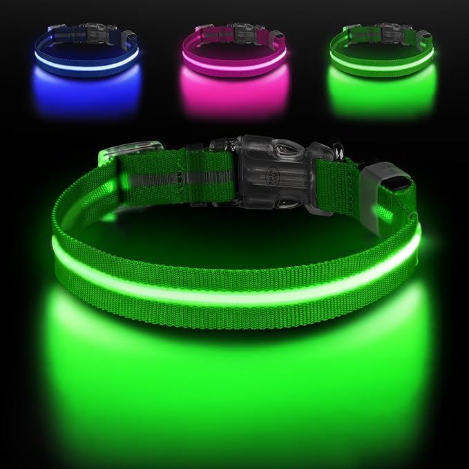 Jewyow Light Up Dog Collar, Adjustable USB Rechargeable Glow in Dark Dog Collar ，Waterproof Dog Collars for Small Dogs (Green, Small)