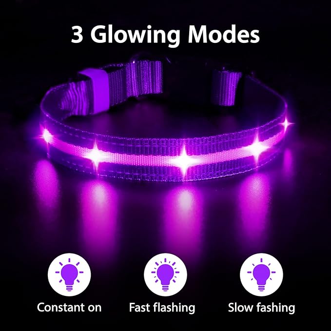 MASBRILL Led Dog Collar - Rechargeable, Water-Resistant, Flashing Glowing Collar for Night Walking - S(15.75 * 0.98in)
