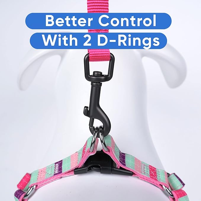 Pawtitas Personalized Dog & Puppy Harness Extra Small Teal/Pink/Purple Custom ID Tag Adjustable No Pull Vest