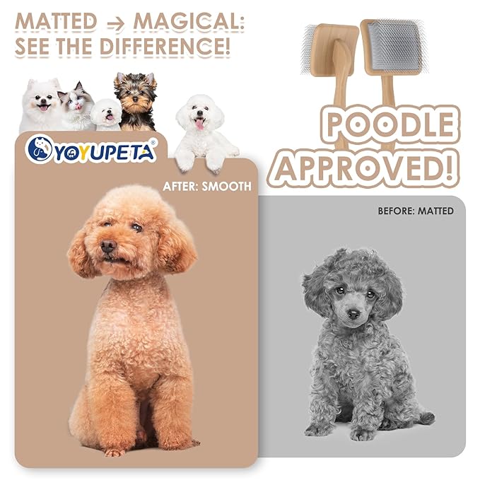 Large Long Pin Slicker Brush & Comb for Poodles, Goldendoodles & Cockapoos, Long Hair Dogs & Cats, Detangler Brush for Shedding & Matted Fur, Ergonomic Wooden Handle, Leather Sleeves. Natural
