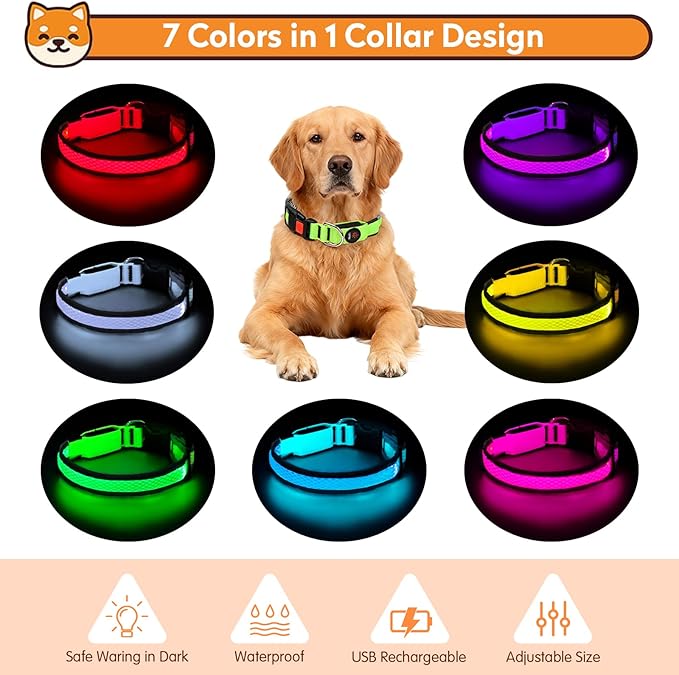 LED Dog Collar, Light Up Dog Collar USB Rechargeable, Nylon Adjustable Comfortable Soft Bright RGB 7 Colors Changing Safety Light Glowing Collar for Small and Medium Dogs(Small,Green)