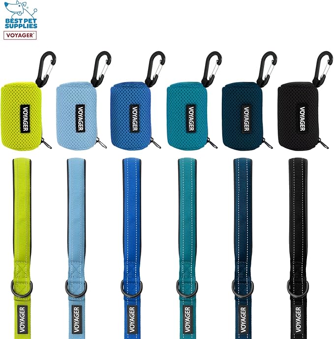 Best Pet Supplies 2-Pack Dog Poop Bag Holder Leash Attachment, Color, Reusable Mesh Dispenser Pouch for Travel, Walking, Park, and Outdoor Use, Soft and Durable with Clip-On - Mesh Red