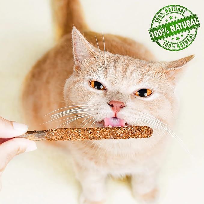 Maiguangta Natural Silvervine Catnip Chew Sticks (12 PC) - Edible Dental Chews for Cats & Kittens, Teething Relief Teeth Cleaning Toys
