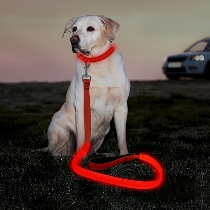 Illumifun LED Dog Leash, USB Rechargeable Light Up Dog Lead, 47.2inch Nylon Glowing Pet Leash for Your Night Dog Walking (RedⅠ)