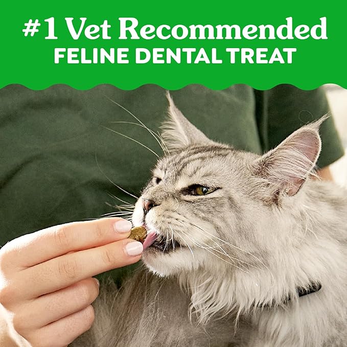 Greenies Feline Veterinarian-Recommended Adult Natural Dental Cat Treats, Catnip Flavor, 21 oz. Tub
