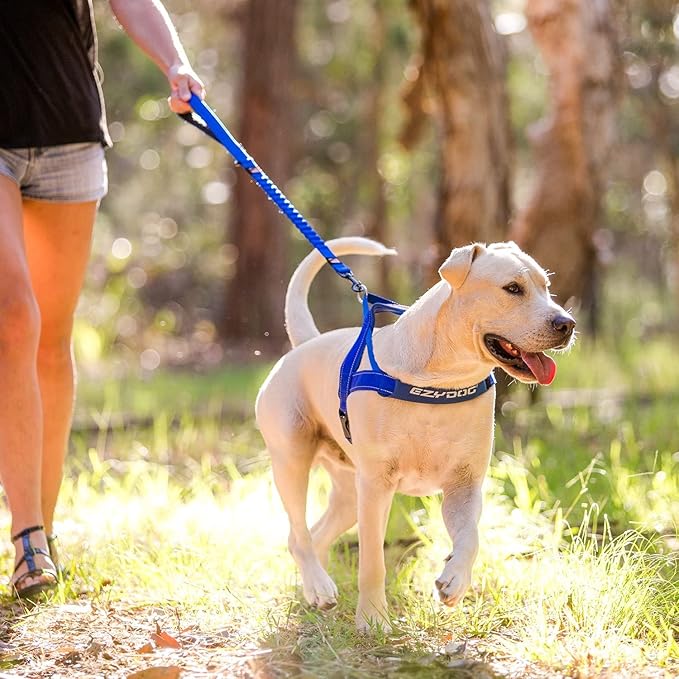 EzyDog Zero Shock Dog Leash - Shock Absorbing Bungee Leash for Dogs That Pull or Excite - Dual Handle and Reflective for Large, Medium, or Small Dogs (25-inch, Black)