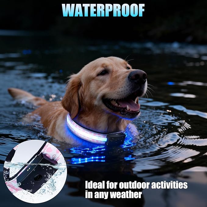 LED Dog Collar - Brightest Light Up Dog Collars - 1,600 Feet of High Visibility - Magnetic Charging - Dog Lights for Night Walking, Heart Extra Large