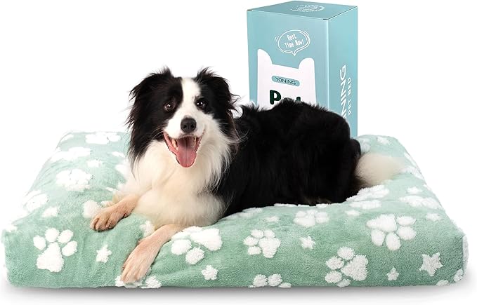 Dog Beds for Large Dogs, Cute Thick Dog Bed for Crate Kennel, Fluffy Pet Bed with Removable Washable Cover and Anti-Slip Bottom, 35"x 22", Green Paw
