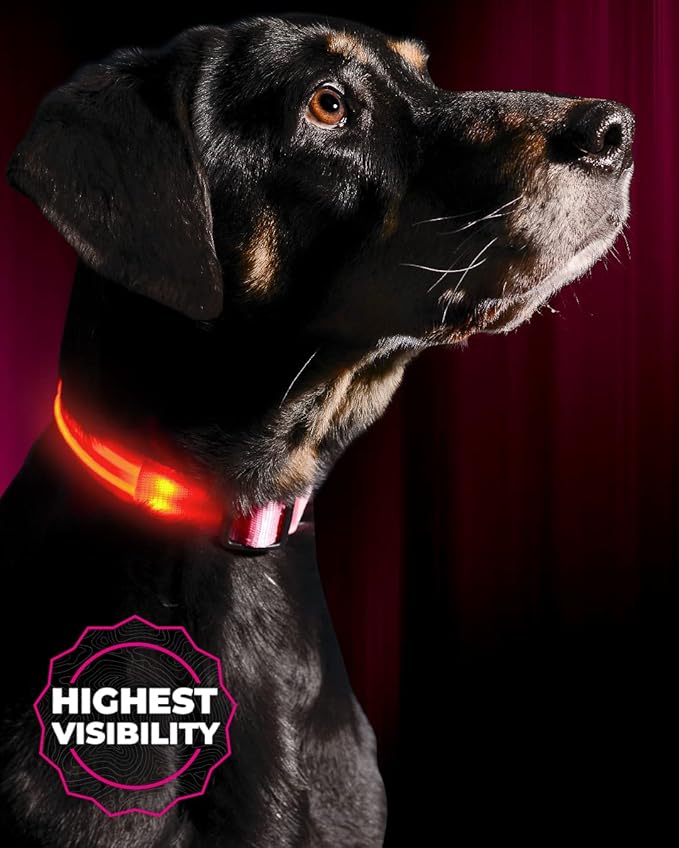 Illumiseen LED Dog Collar USB Rechargeable - Bright & High Visibility Lighted Glow Collar for Pet Night Walking - Weatherproof, in 6 Colors & 6 Sizes (Pink X-Large)