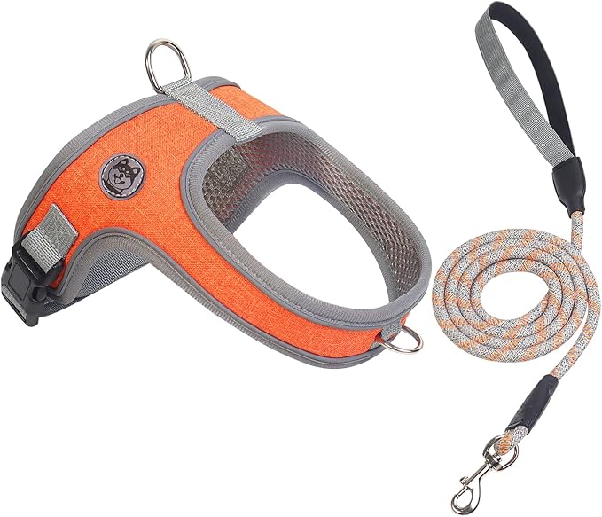 Dog Harness and Leash Set, No Pull Saddle Style Pet Harness, Breathable Mesh Adjustable Reflective Dog Vest for Dogs and Cat Medium Small Harness 2 D-Rings, Orange, L