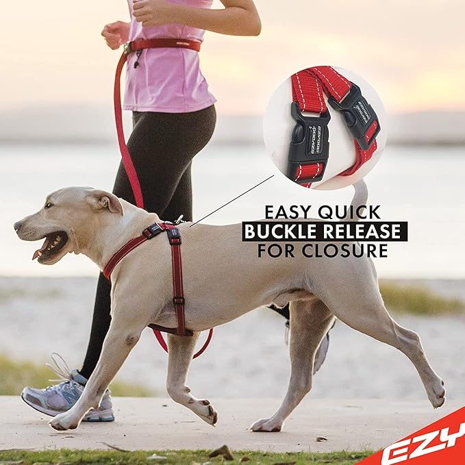 EzyDog Chest Plate No Pull Dog Harness – Escape Proof Harness with Reflective Stitching and Comfort Padding for Easy Walks, Training & Control - Car Restraint Included (Small, Purple)