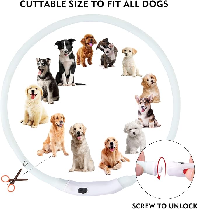 LED Multi-Color Dog Collar, Rechargeable 7 Colors Changing Light Up Dog Collar, Dog Lights Make Pet Visible and Safety for Night Walking，Outdoor, Camping, for Small Medium Large Dogs by NOVKIN