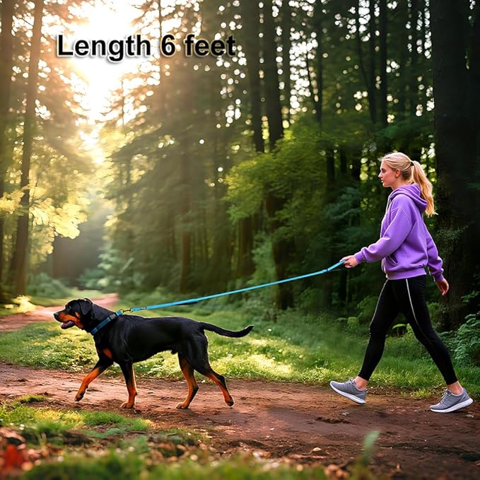 Heavy Duty Double Handle Dog Leash 6 ft Long for Total Control, Padded 2 Handle, Reflective Training Lead for Medium Large Dogs (Sky Blue, 6 FT)