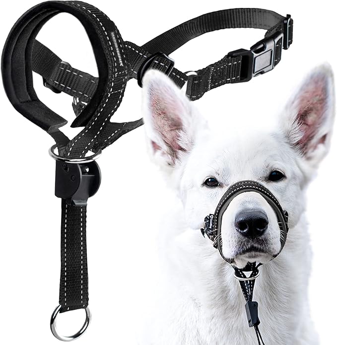 GoodBoy Dog Head Halter with Safety Strap - Stops Heavy Pulling On The Leash - Padded Headcollar for Small Medium and Large Dog Sizes - Head Collar Training Guide Included (Size 3, Black)