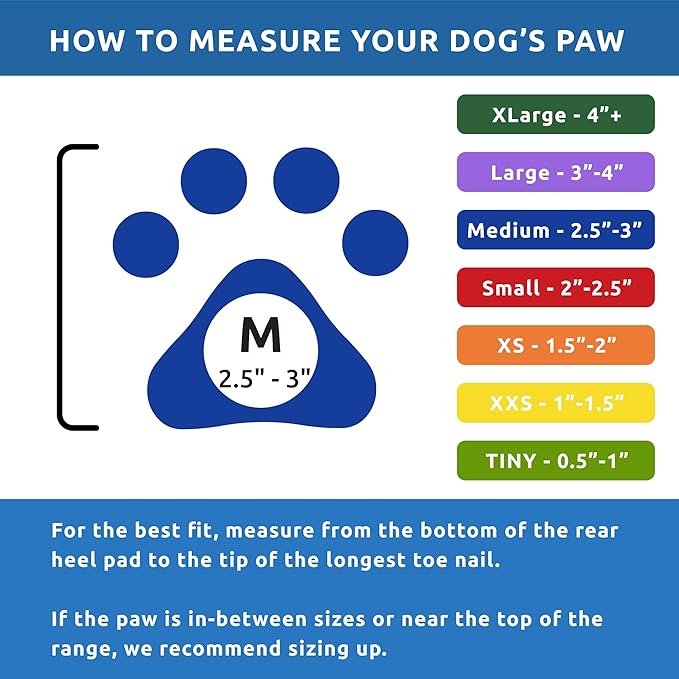 PawZ Rubber Dog Boots for Medium Paws - All-Weather Waterproof Dog Shoes, Anti-Slip Traction for Rain, Snow, Mud & Hot Pavement - Pull-On Dog Booties, Blue - Medium (2.5" - 3") - Pack of 24