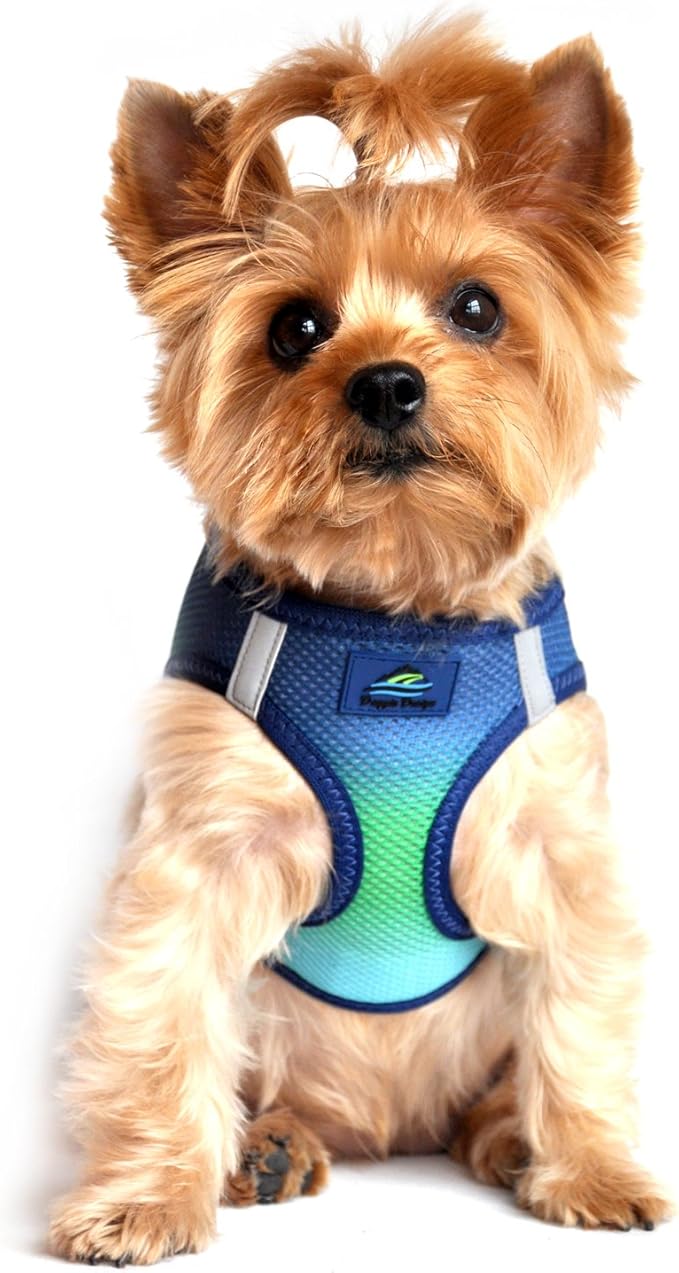Doggie Design No Choke Dog Harness - Simple Step-in and Go Dog Vest for Small, Medium, and Large Breeds - Breathable Mesh Polyester Pet Harness - Northern Lights - M