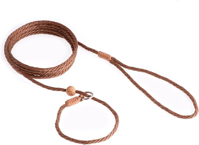 Alvalley Nylon Dog Training Leash with Stopper - Adjustable Nylon Rope Comes with Braided Leather at Ends - Tagua Bead Stopper Slip Lead - Suitable for Walking, and Training