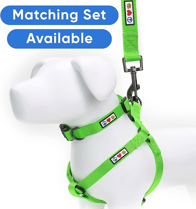 Pawtitas Personalized Dog & Puppy Harness Medium Green Custom ID Tag Adjustable No Pull Vest