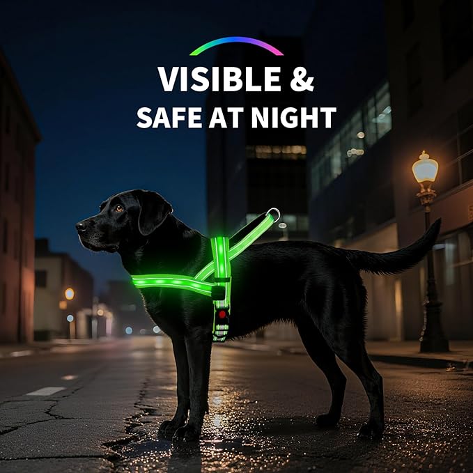 PetIsay LED Light Up Dog Harness - USB-C Rechargeable, IPX7 Waterproof, Reflective, No Pull Dog Vest with Soft Padded Handle for Night Walking(Blue, S)
