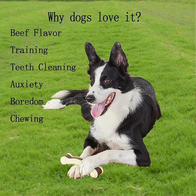 Dog Chew Bones Toys for Aggressive Chewers, 6 Pack Real Beef Flavor Bones,Indestructible Dog Toys for Large/Medium Breed, NylonToys