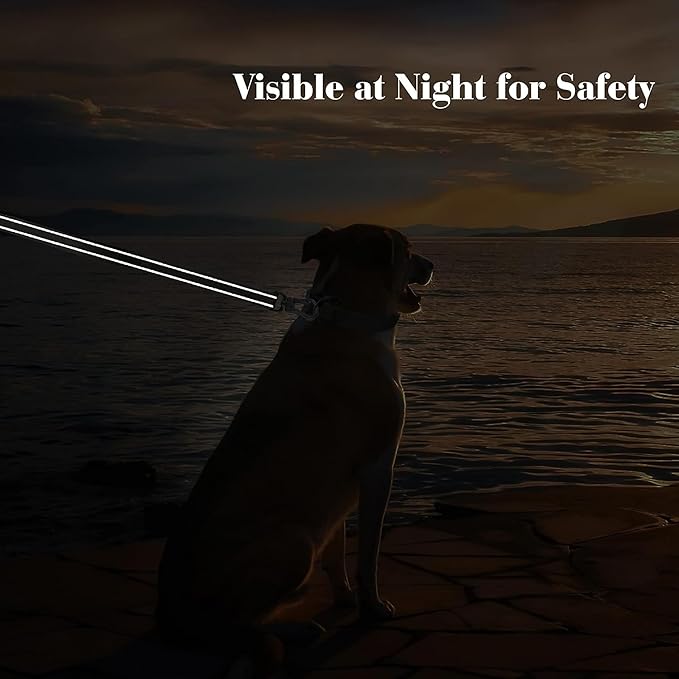 PetiFine 4FT Heavy Duty Dog Leash with Soft Padded Double Handle, Durable Strong Clasp Dog Leashes, Reflective Nylon Walking Lead for Large,Medium,Small Breed Dogs, Rose