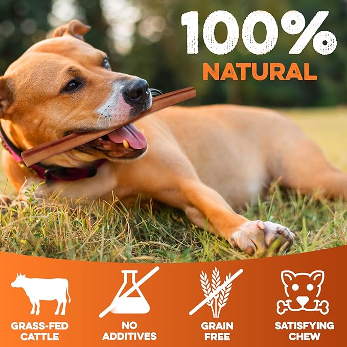 BRUTUS & BARNABY Bully Sticks for Dogs, 12" – Low-to-No Odor, Grass-Fed, Rawhide-Free Chews for Aggressive Power Chewers