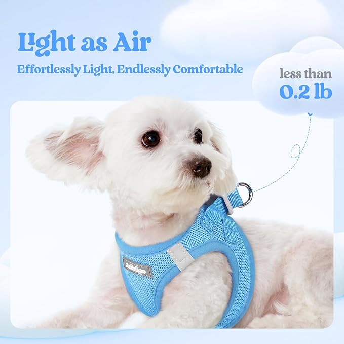 rabbitgoo Dog Harness Small Sized and Leash Set, Step in Soft Light Puppy Vest, Breathable Mesh Pet Harness, Reflective for Safe Easy Walking, Blue XXXS