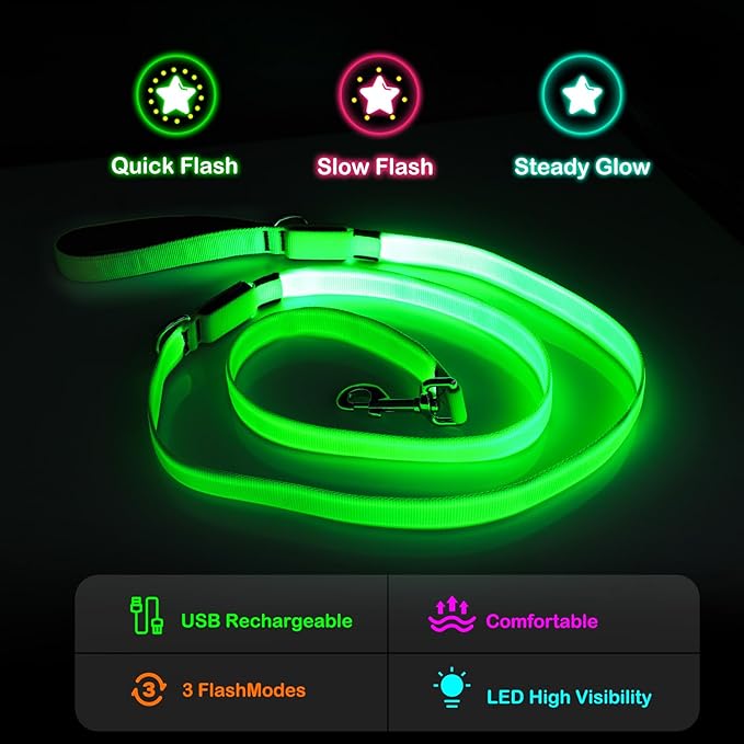 Dlitk Light Up Dog Leash, 6 Ft LED Leashes Rechargeable, Nylon Reflective Lead with Padded Handle for Night Walking, Safety Glow Lights for Large Medium Small Dogs(Green, 6 Ft)