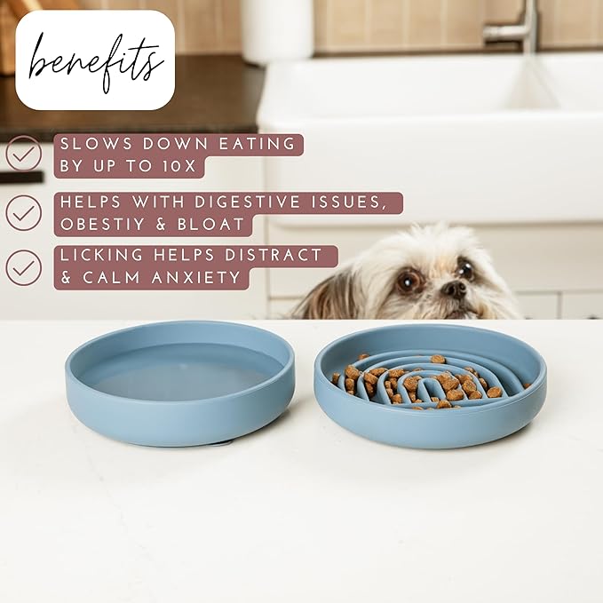 Should We Go? Slow Feeder for Dogs, The Slowdown Bowl Silicone Slow Eating Mealtime Solution with Modern Lick Mat Design, Reduces Gulping, Fits 1 Cup, 6” Across x 1.25” Tall, Small-Tan