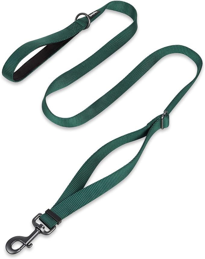 Hyhug Nylon Adjustable 4-6ft Dog Leash with Soft Neoprene Padded Handle, Durable Heavy Duty Leash with Easy-to-Use Bolt Snap, Ideal for Jogging Outdoor