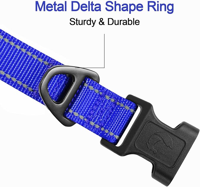Joytale Reflective Dog Collar, Soft Neoprene Padded, Metal D-Ring, Nylon Pet Collar Adjustable for Extra Large Dogs, Royal Blue, XL