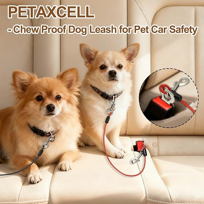 PETAXCELL Chew Proof Dog Leash, 24 in Dog Seat Belt Harness with Double Clips Leash Extender Steel Braided Vehicle Tether, (Black, 1 Pcs), Intended for Pet Car Safety/Walking/Training