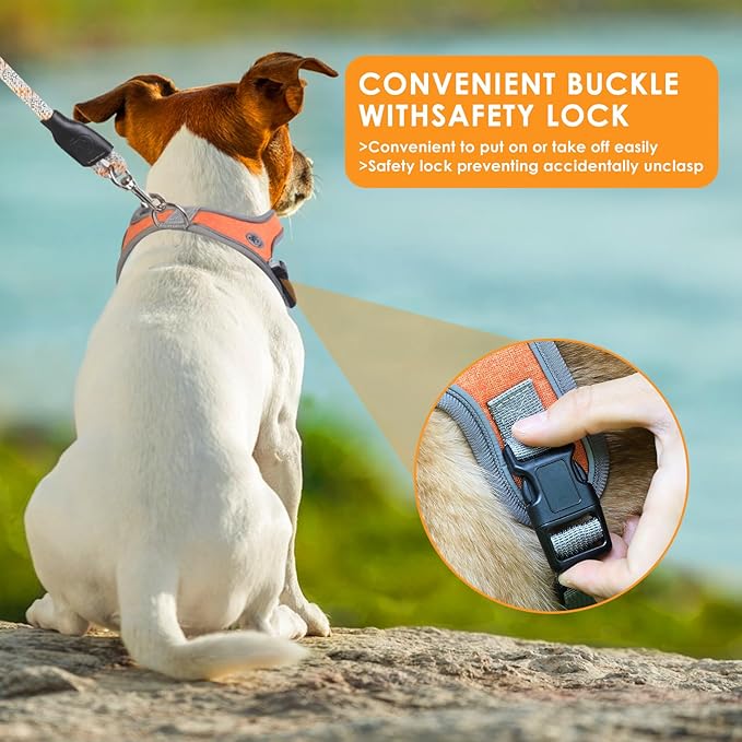 Dog Harness and Leash Set, No Pull Saddle Style Pet Harness, Breathable Mesh Adjustable Reflective Dog Vest for Dogs and Cat Medium Small Harness 2 D-Rings, Orange, L
