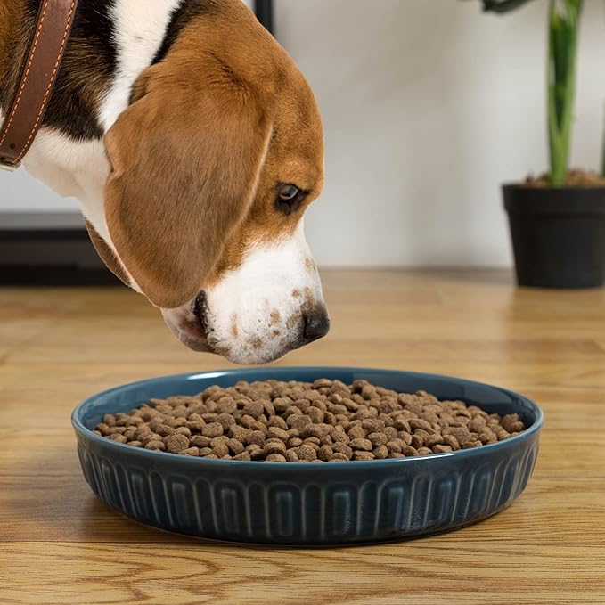 Fun Elements Shallow Dog Bowls, 8" Ceramic Dog Food Plate for Small and Medium Breeds, Non-Slip, Flat and Wide, Dishwasher Safe, Suitable for Puppies and Kittens (Blue)