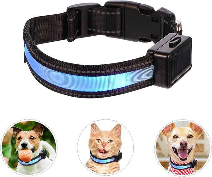 TOBBOMEY LED USB Rechargeable Dog Collar, Blue Small Glowing Pet Collar with Solar-Powered Flashing Light for Night Walking and Outdoor Safety