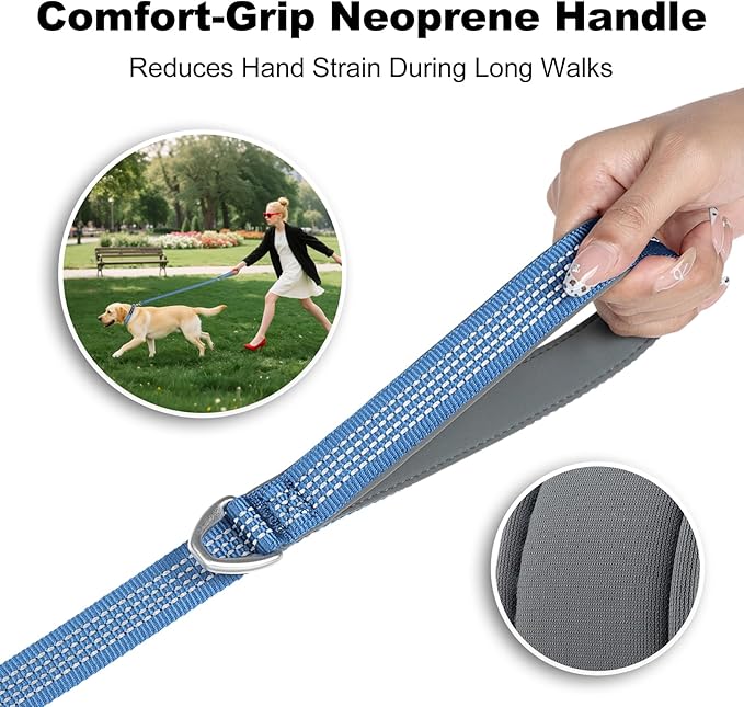 Plutus Pet Heavy Duty Dog Leash with Lockable Aluminum Carabiner, 4/6 Feet Long, Double-Sided Reflective Nylon, Padded Handle, for Puppy, Small, Medium and Large Dogs (Blue, 1" x 4')