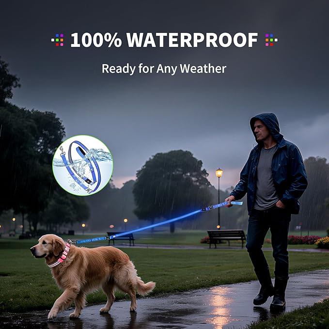 PetIsay Night Walking LED Dog Leash - 6FT Reflective & Waterproof Light Up Safety Leashes for Dogs - USB Rechargeable, Blue