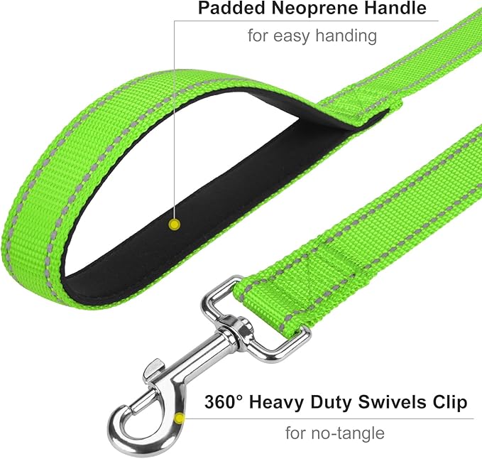 Erbine 6FT Reflective Nylon Dog Leash with Soft Padded Handle for Walking, Running and Training, Supports Small Medium and Large Dogs (Green, 1 Inch Wide)