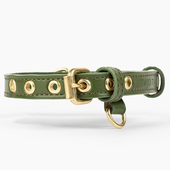 Two Tails Pet Company Cactus Vegan Leather Dog Collar, Adjustable Pet Collar with Gold Hardware and D Rings for Leash and ID Tag for Dogs and Puppies, Easy to Clean & Eco Friendly, Green, Size Medium