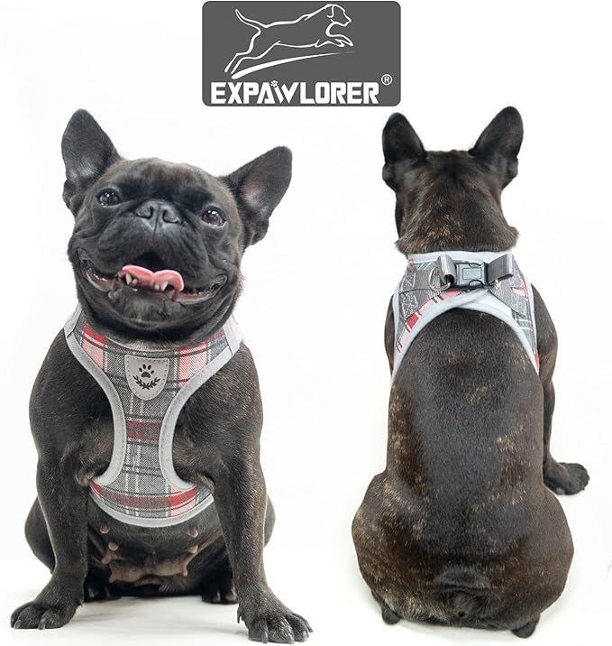 EXPAWLORER Classic Plaid Puppy Harness - Dog Collar and Leash - Soft Mesh Padded Adjustable Step in Small Dog Vest Harness No Pull, Reflective Escape Proof for Outdoor Walking, Grey Small