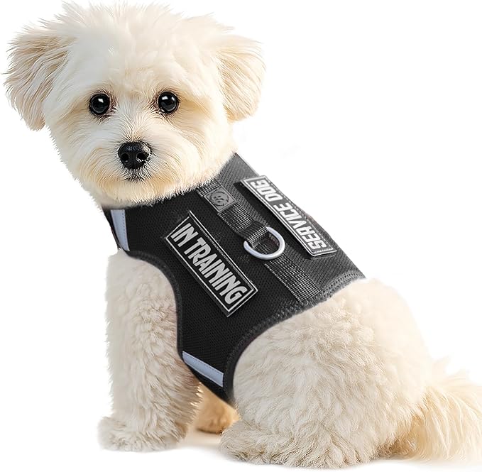 Dog Harness for Puppy – Adjustable Reflective Easy Put On Soft Mesh Vest for Small Dogs with 2 Patches (Black,L)