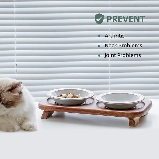 Havniva Raised Double Cat Dishes Set with Acacia Wood Stand, Ceramic Food & Water Bowls for Cats, Puppy, Kitty, Cat Feeder, Prevent Whisker Fatigue(Double Bowls+Stand, Arctic White)