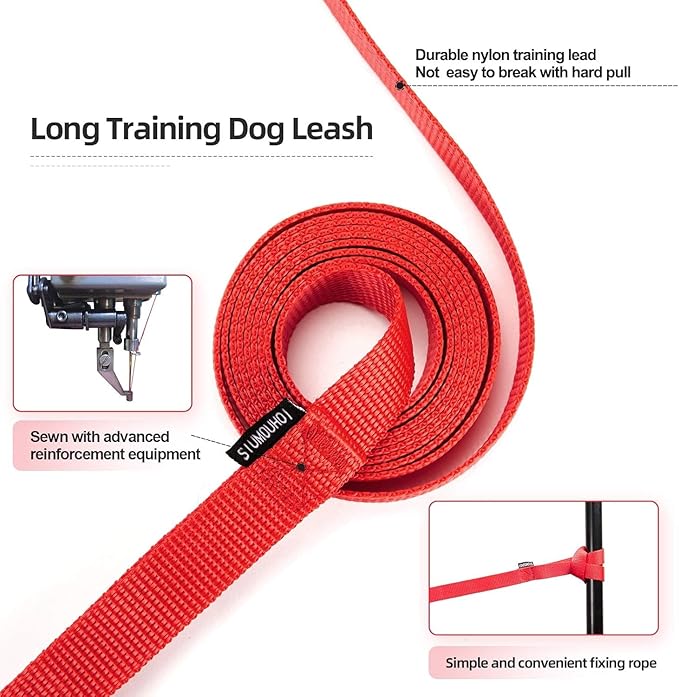 Siumouhoi Dog/Puppy Obedience Recall Training Agility Lead - 15ft 20ft 30ft 40ft 50ft Training Leash - Great for Play, Camping, or Backyard (Mint Blue, 40 Feet)
