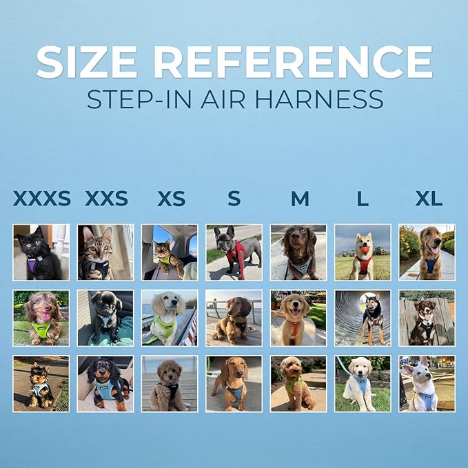 Best Pet Supplies Voyager Step-in Air Harness - All Weather Mesh, Reflective, No Pull Harness for Dogs, Cats - Secure with Hook & Loop Fastener, Buckle, Double D-Rings - Turqupise 2-Tone, L