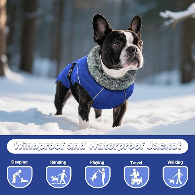 DENTRUN Winter Warm Dog Coat Reflective Jacket with Turtleneck for Cold Weather, Adjustable Buckle Windproof Water Repellent, Thick Snowsuit Fleece Vest for Small, Medium, Large Dogs, Blue, M