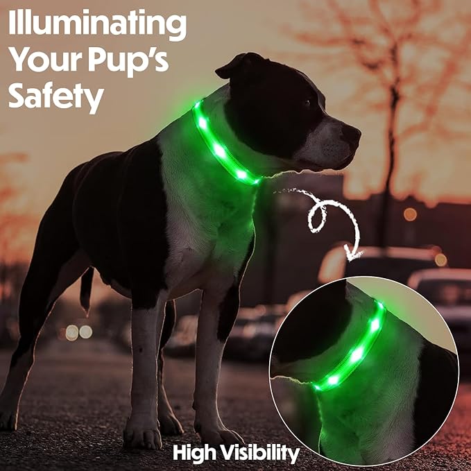 Light Up Dog Collar – Reflective, Adjustable, Rechargeable Electronic Glow Pet Collars – Bright, Comfortable, High Visibility LED Dog Collar for Night Safety, Outdoor Walk, Flashing Fun, Green, Small